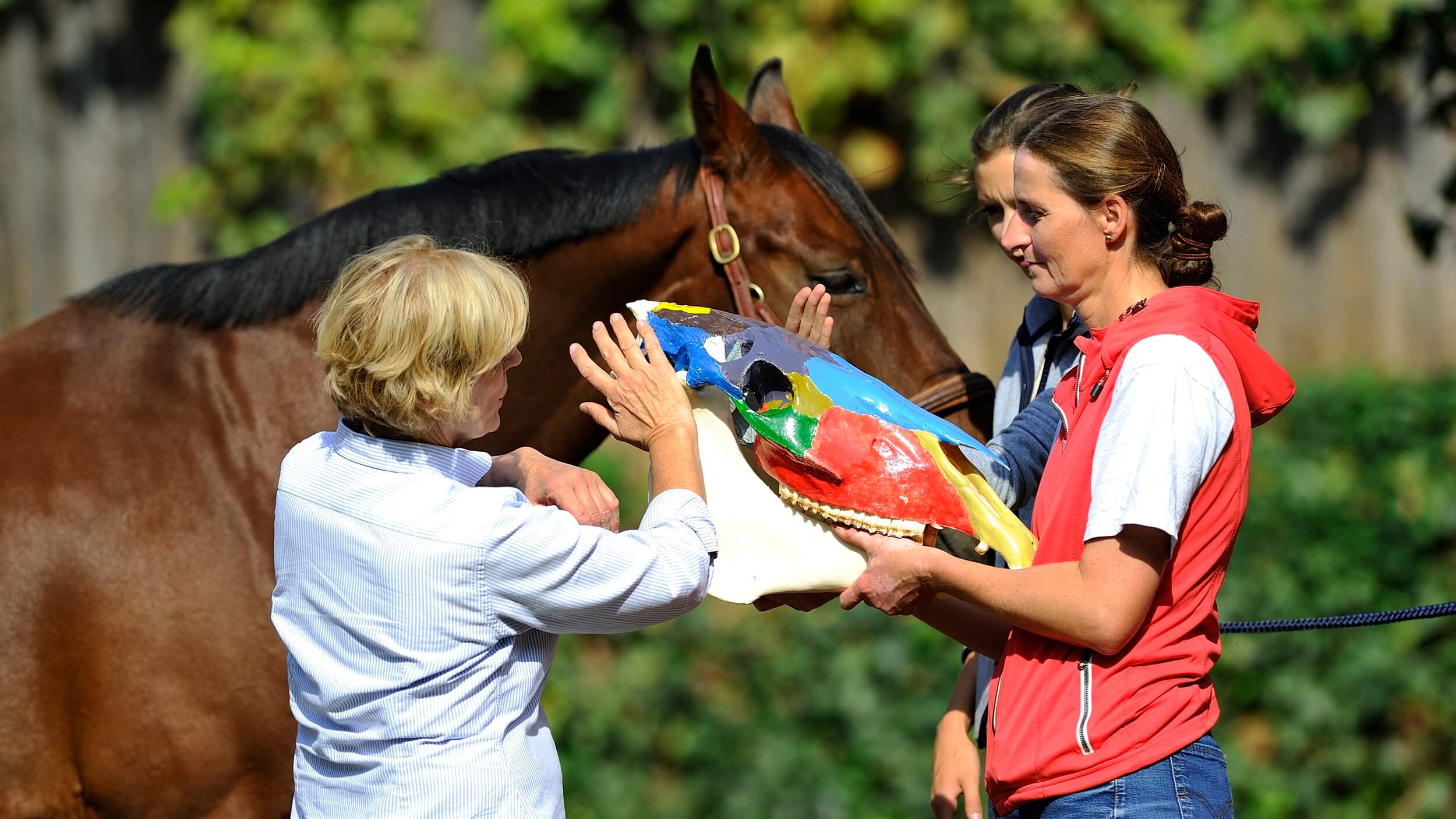Fortbildungen für Pferdetherapeut*innen