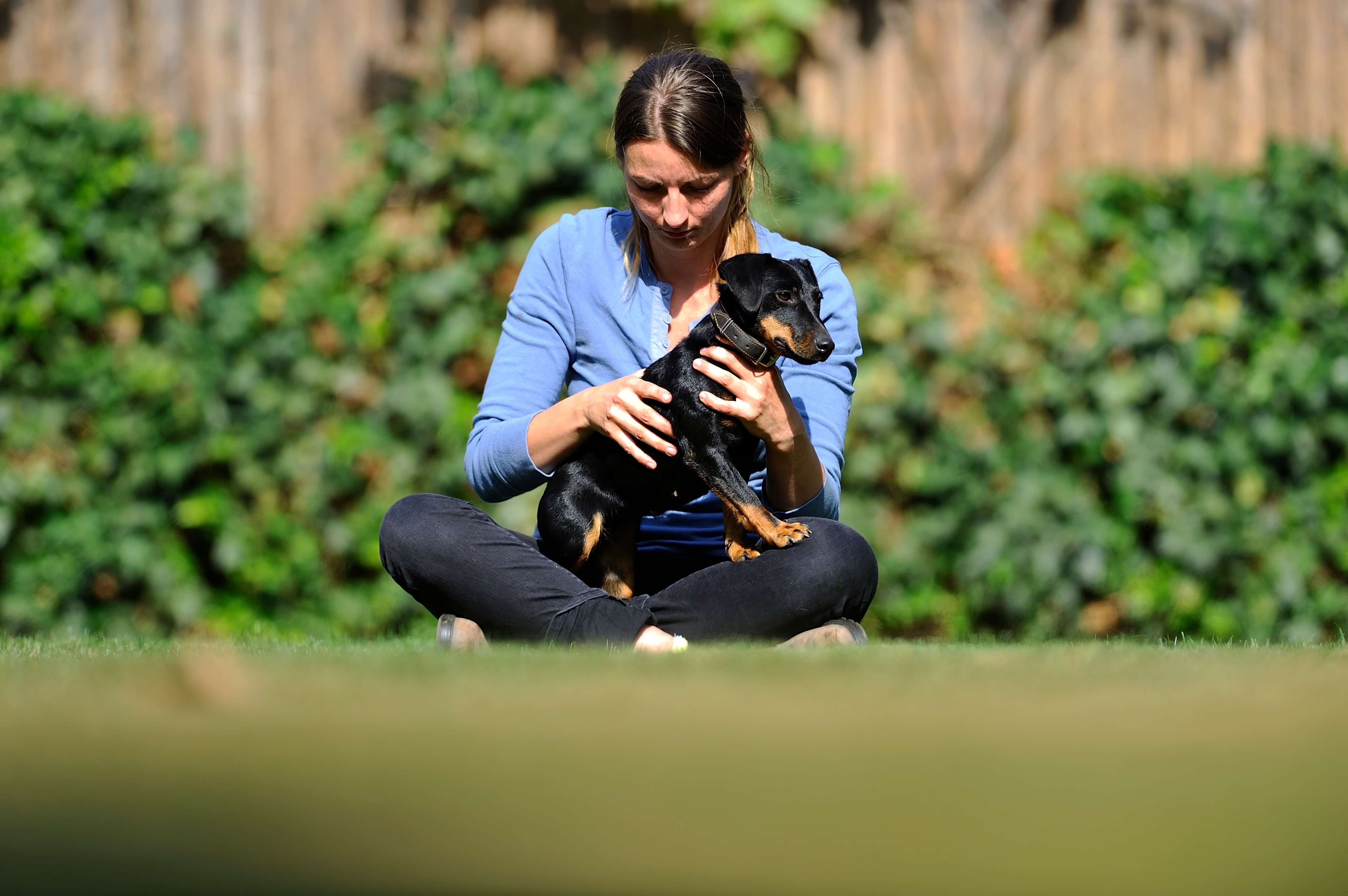 Fortbildungen für Hundetherapeut*innen